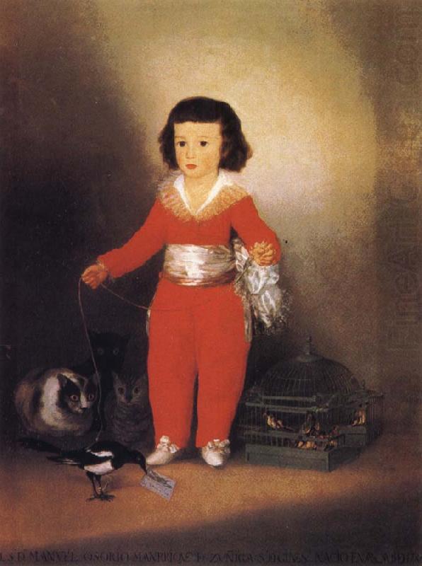Francisco Jose de Goya Don Manuel Osorio Manrique china oil painting image